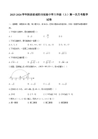 2025-2026学年陕西省咸阳市实验中学八年级（上）第一次月考数学试卷-自定义类型