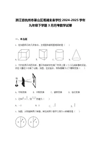 浙江省杭州市萧山区湘湖未来学校2024-2025学年九年级下学期3月月考数学试卷（含答案解析）
