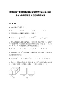 江苏省宿迁市沭阳县沭阳如东实验学校2024-2025学年九年级下学期3月月考数学试卷（含答案解析）