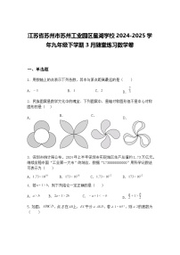 江苏省苏州市苏州工业园区星湖学校2024-2025学年九年级下学期3月随堂练习数学卷（含答案解析）