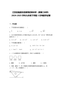 江苏省南通市田家炳初级中学（原第三中学）2024-2025学年九年级下学期3月考数学试卷（含答案解析）