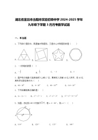 湖北省宜昌市当阳市实验初级中学2024-2025学年九年级下学期3月月考数学试题（含答案解析）