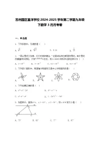 苏州园区星洋学校2024-2025学年第二学期九年级下数学3月月考卷（含答案解析）