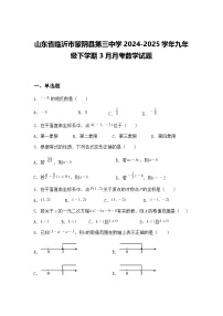 山东省临沂市蒙阴县第三中学2024-2025学年九年级下学期3月月考数学试题（含答案解析）