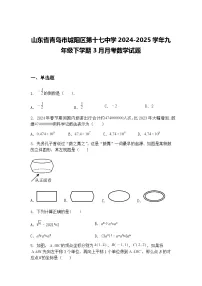 山东省青岛市城阳区第十七中学2024-2025学年九年级下学期3月月考数学试题（含答案解析）