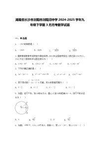 湖南省长沙市浏阳市浏阳河中学2024-2025学年九年级下学期3月月考数学试题（含答案解析）