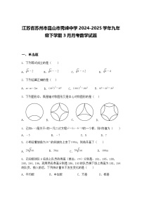 江苏省苏州市昆山市秀峰中学2024-2025学年九年级下学期3月月考数学试题（含答案解析）