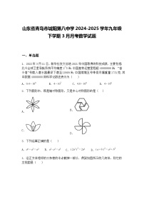 山东省青岛市城阳第八中学2024-2025学年九年级下学期3月月考数学试题（含答案解析）