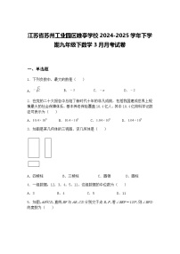 江苏省苏州工业园区唯亭学校2024-2025学年下学期九年级下数学3月月考试卷（含答案解析）