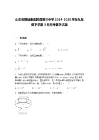 山东省聊城市东阿县第三中学2024-2025学年九年级下学期3月月考数学试题（含答案解析）