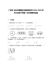 广东省 汕头市潮阳区龙港初级中学2024-2025学年九年级下学期3月月考数学试题（含答案解析）