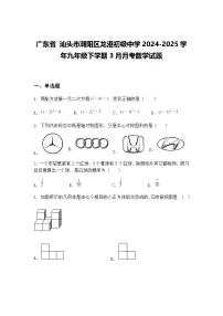 广东省 汕头市潮阳区龙港初级中学2024-2025学年九年级下学期3月月考数学试题（含答案解析）
