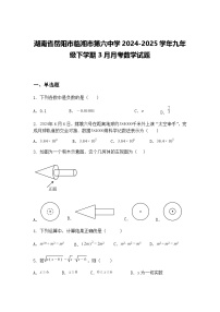 湖南省岳阳市临湘市第六中学2024-2025学年九年级下学期3月月考数学试题（含答案解析）