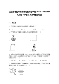 山东省枣庄市滕州市龙泉实验学校2024-2025学年九年级下学期3月月考数学试题（含答案解析）