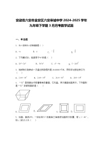 安徽省六安市金安区六安皋城中学2024-2025学年九年级下学期3月月考数学试题（含答案解析）