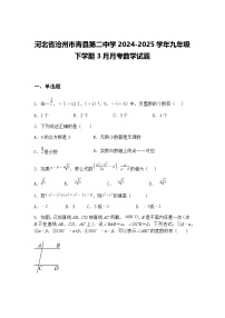 河北省沧州市青县第二中学2024-2025学年九年级下学期3月月考数学试题（含答案解析）