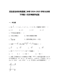 河北省沧州市青县第二中学2024-2025学年九年级下学期3月月考数学试题（含答案解析）