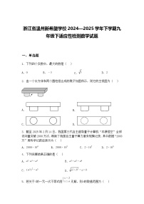 浙江省温州新希望学校2024—2025学年下学期九年级下适应性检测数学试题（含答案解析）