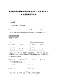 浙江省温州市新希望学校2024-2025学年九年级下学3月月考数学试卷（含答案解析）