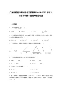 广东省茂名市高州市十三校联考2024-2025学年九年级下学期5月月考数学试题（含答案解析）