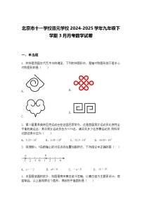 北京市十一学校晋元学校2024-2025学年九年级下学期3月月考数学试卷（含答案解析）
