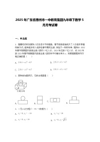 2025年广东省惠州市一中教育集团九年级下数学5月月考试卷（含答案解析）