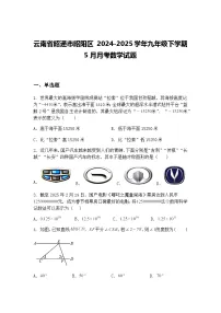 云南省昭通市昭阳区 2024-2025学年九年级下学期5月月考数学试题（含答案解析）