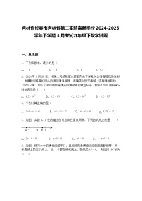 吉林省长春市吉林省第二实验高新学校2024-2025学年下学期3月考试九年级下数学试题（含答案解析）