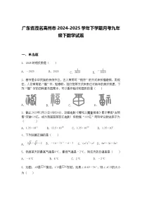 广东省茂名高州市2024-2025学年下学期月考九年级下数学试题（含答案解析）
