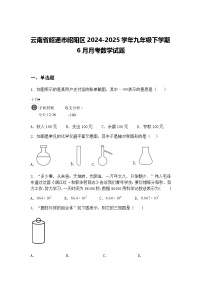 云南省昭通市昭阳区2024-2025学年九年级下学期6月月考数学试题（含答案解析）