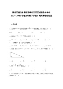 黑龙江省佳木斯市富锦市三江区域联合体学校2024-2025学年九年级下学期5月月考数学试题（含答案解析）
