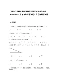 黑龙江省佳木斯市富锦市三江区域联合体学校2024-2025学年九年级下学期5月月考数学试题（含答案解析）