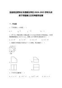 安徽省合肥市长丰县部分学校2024-2025学年九年级下学期第三次月考数学试卷（含答案解析）