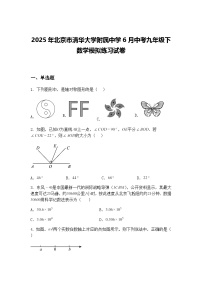 2025年北京市清华大学附属中学6月中考九年级下数学模拟练习试卷（含答案解析）