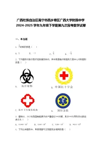 广西壮族自治区南宁市西乡塘区广西大学附属中学2024-2025学年九年级下学期第九次段考数学试卷(含答案解析)
