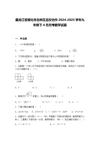 黑龙江省绥化市北林区名校协作2024-2025学年九年级下4月月考数学试题（含答案解析）