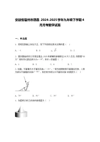 安徽省宿州市泗县 2024-2025学年九年级下学期4月月考数学试题（含答案解析）