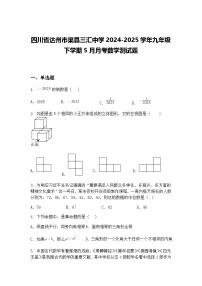 四川省达州市渠县三汇中学2024-2025学年九年级下学期5月月考数学测试题（含答案解析）