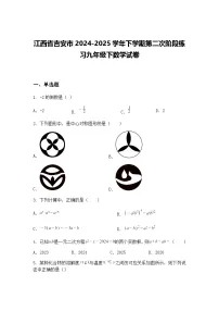 江西省吉安市2024-2025学年下学期第二次阶段练习九年级下数学试卷（含答案解析）