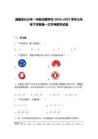 湖南省长沙市一中新华都学校2024-2025学年九年级下学期第一次月考数学试题（含答案解析）