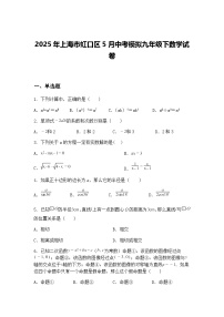 2025年上海市虹口区5月中考模拟九年级下数学试卷（含答案解析）