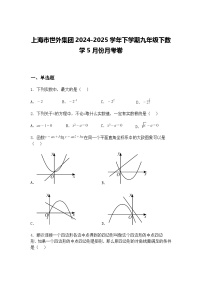上海市世外集团2024-2025学年下学期九年级下数学5月份月考卷（含答案解析）
