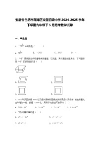 安徽省合肥市瑶海区众望初级中学2024-2025学年下学期九年级下5月月考数学试卷（含答案解析）