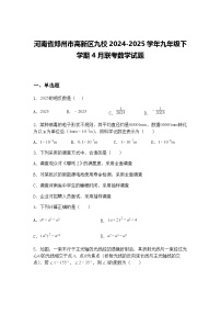 河南省郑州市高新区九校2024-2025学年九年级下学期4月联考数学试题（含答案解析）