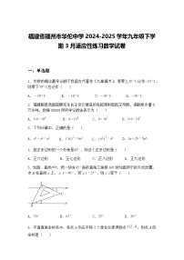 福建省福州市华伦中学2024-2025学年九年级下学期3月适应性练习数学试卷（含答案解析）