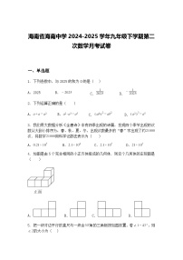 海南省海南中学2024-2025学年九年级下学期第二次数学月考试卷（含答案解析）