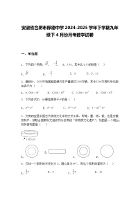 安徽省合肥市厚德中学2024-2025学年下学期九年级下4月份月考数学试卷（含答案解析）