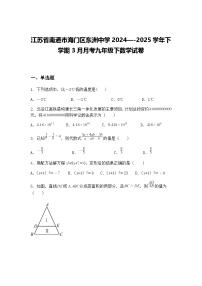 江苏省南通市海门区东洲中学2024—-2025学年下学期3月月考九年级下数学试卷（含答案解析）
