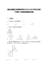 重庆市西南大学附属中学校2024-2025学年九年级下学期4月定时训练数学试卷（含答案解析）