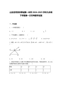 山东省菏泽市郓城第一中学2024-2025学年九年级下学期第一次月考数学试题（含答案解析）
